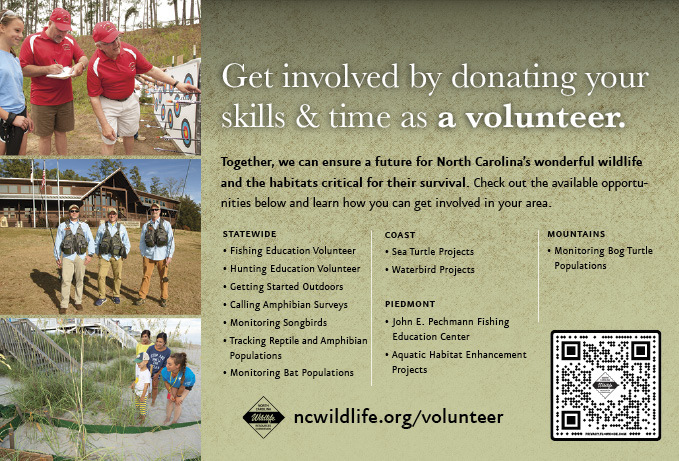 Ad for Volunteering to Help North Carolina Wildlife