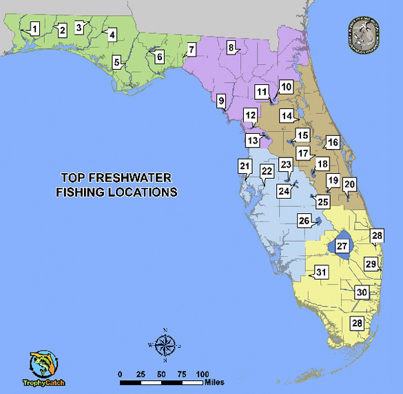 Top Spots to Fish - Florida Freshwater Fishing