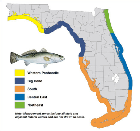 Management Zones - Florida Saltwater Fishing