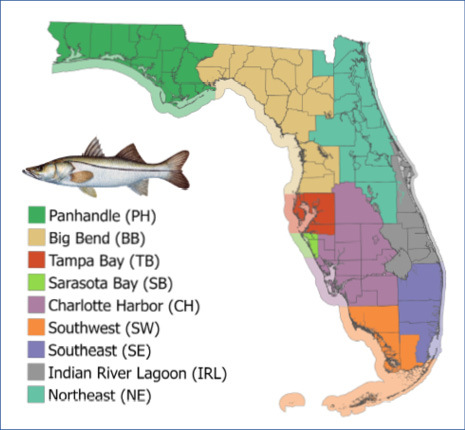 Management Zones - Florida Saltwater Fishing