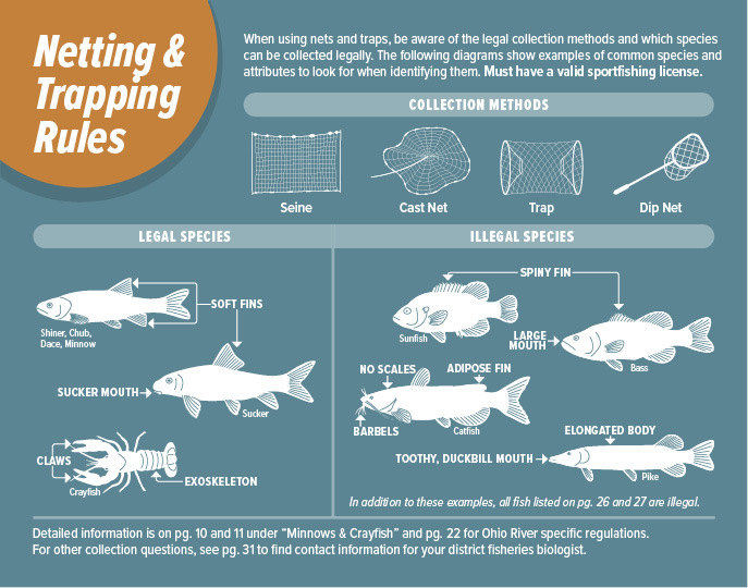 Netting & Trapping Regulations - Indiana Fishing | eRegulations