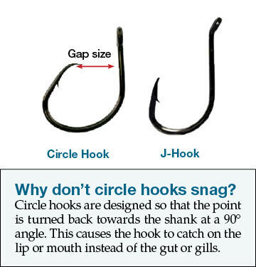 Circle Hooks - Massachusetts Saltwater Fishing