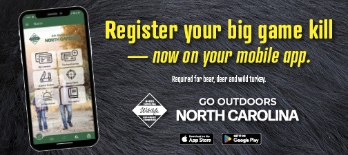 New license and vessel registration system, Go Outdoors North