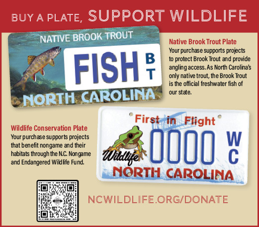 Fishing License online for TN, NC and Cherokee