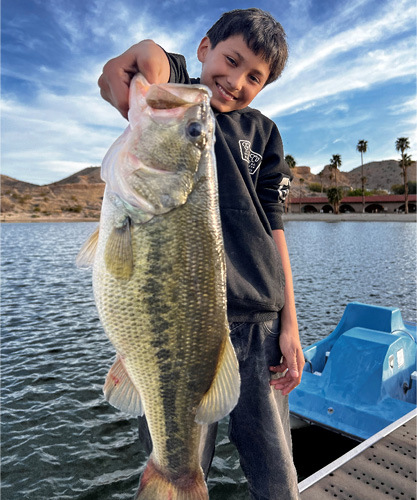 Reglas de la Pesca - Nevada Fishing