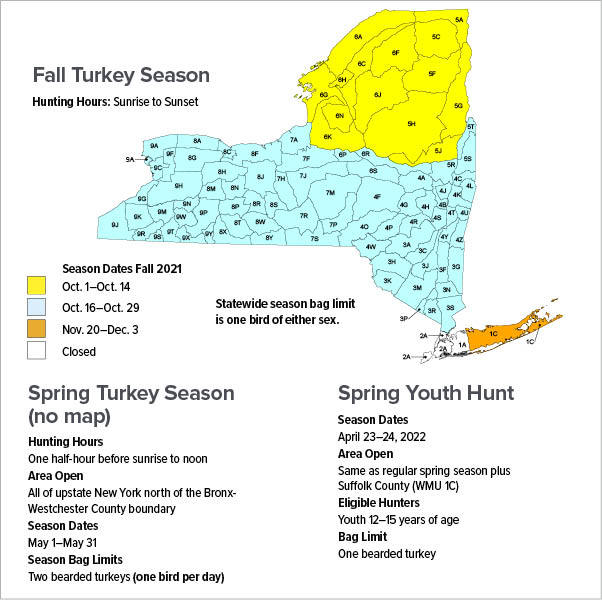 Turkey Hunting Seasons New York Hunting eRegulations