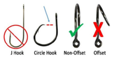 Circle Hooks: How To Choose The Right Size Hook For Live vs. Dead