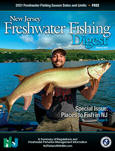 One-Year Subscription to Salt Water Sportsman or Marlin from Blue Dolphin  Magazines (50% Off)