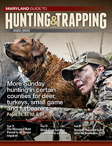 Maryland Hunting Seasons Rules eRegulations