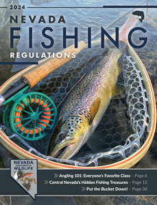 Rules and Equipment Regulations – Game Fishing Association of