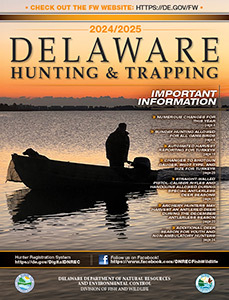 Delaware Hunting