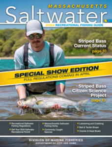 https://www.eregulations.com/assets/images/resources/covers/_guideCover/24MASW-Show_Cover.jpg